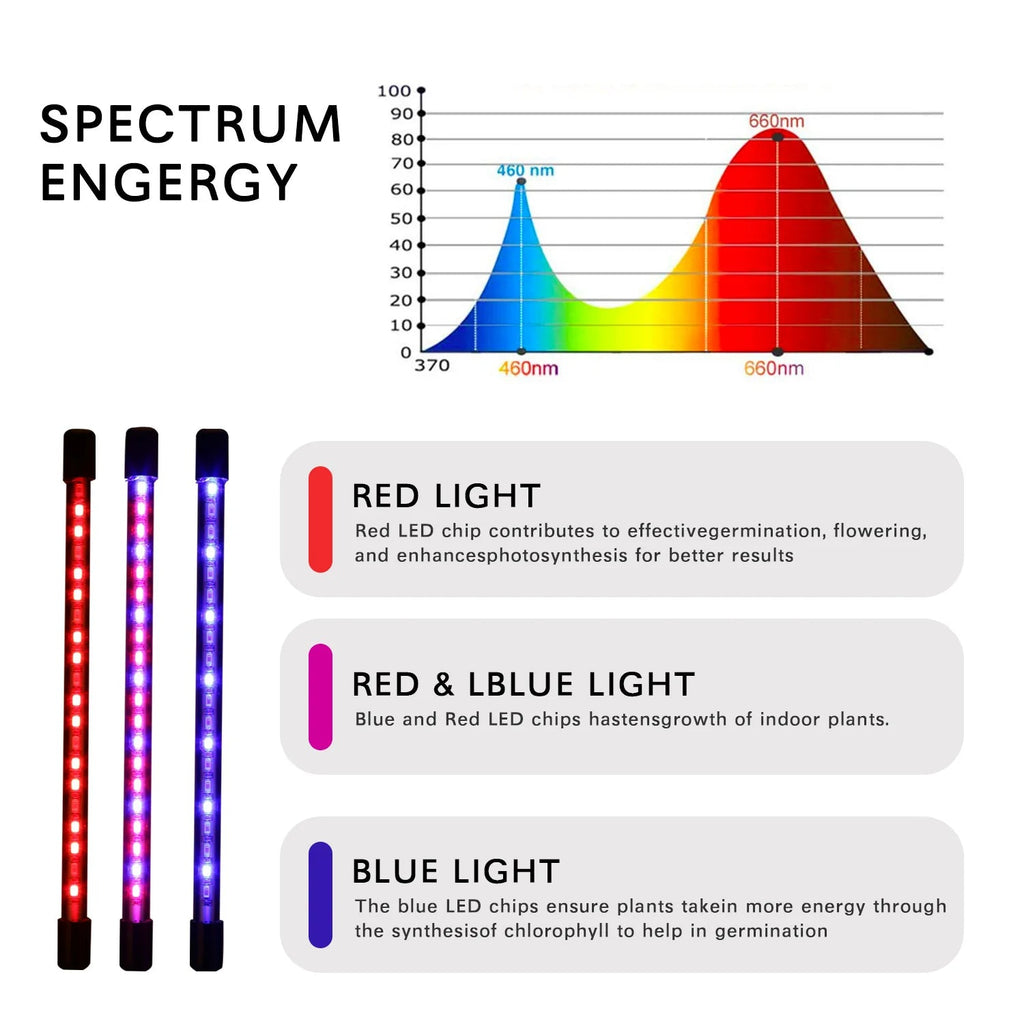 Avtoit | LumiPlant LED Plant Light | USB Grow Light | 1–4 Heads | Dimmable with Timer