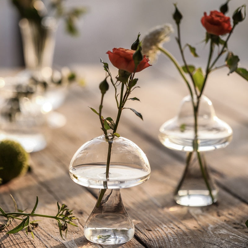 Avtoit | Mushroom Inspired Elegant Glass Vase