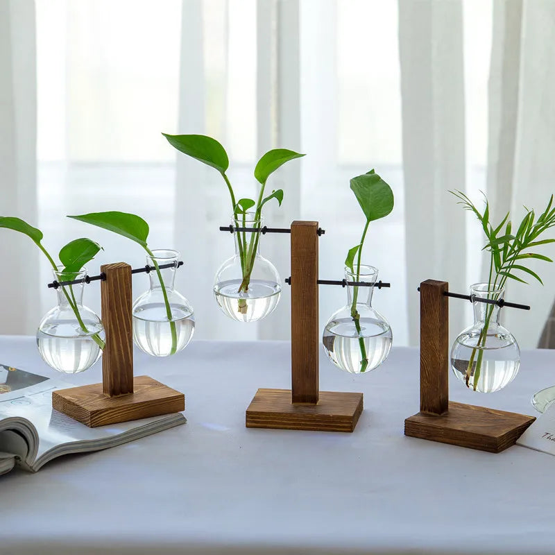 Avtoit | Vasoya Glass Vases | 3-Piece Set with Wooden Frame | Scandinavian & Versatile | For Flowers & Hydroponics