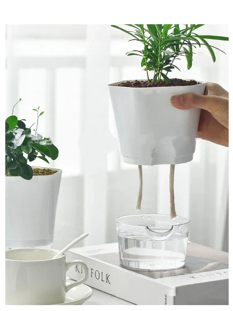 Avtoit | Plantilo Self-watering Flower Pot | Transparent | Automatic Water Supply | For Houseplants