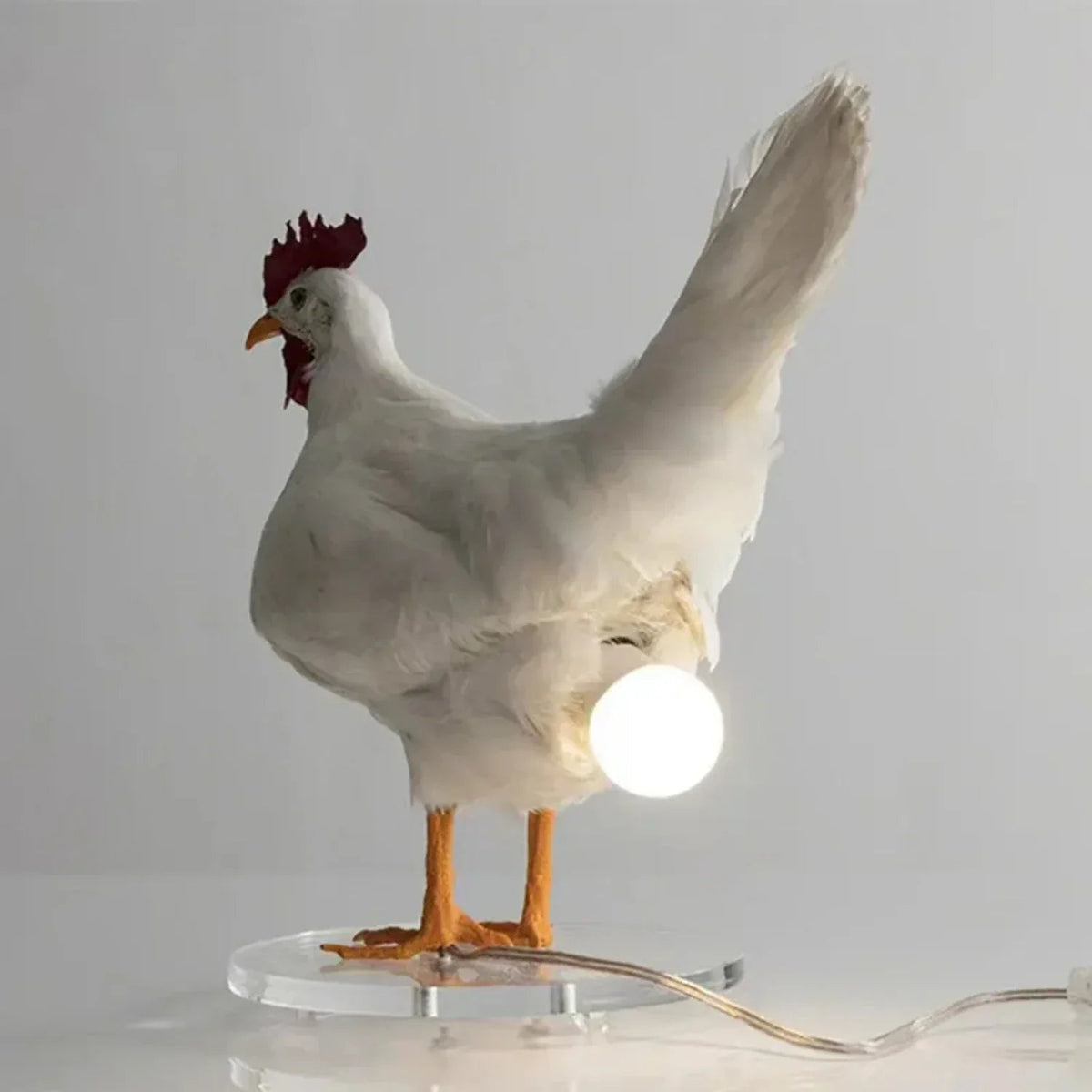 Avtoit | Farmhouse Chicken Table Lamp