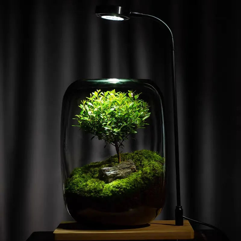 Avtoit | Micro Landscape Glass Vase | Clear Terrarium Planter for Succulents & Home Decor