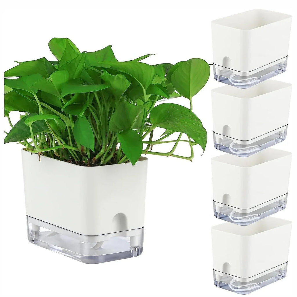 Avtoit | HydroLino Flower Pot | Self-Watering | Compact & Transparent | For Indoor Use