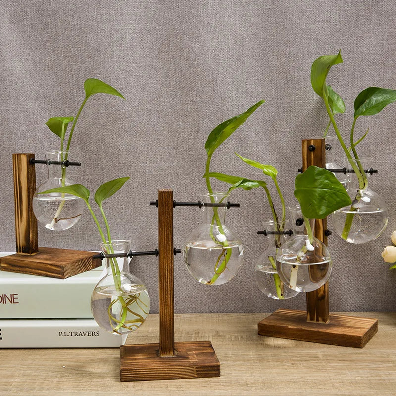 Avtoit | Vasoya Glass Vases | 3-Piece Set with Wooden Frame | Scandinavian & Versatile | For Flowers & Hydroponics
