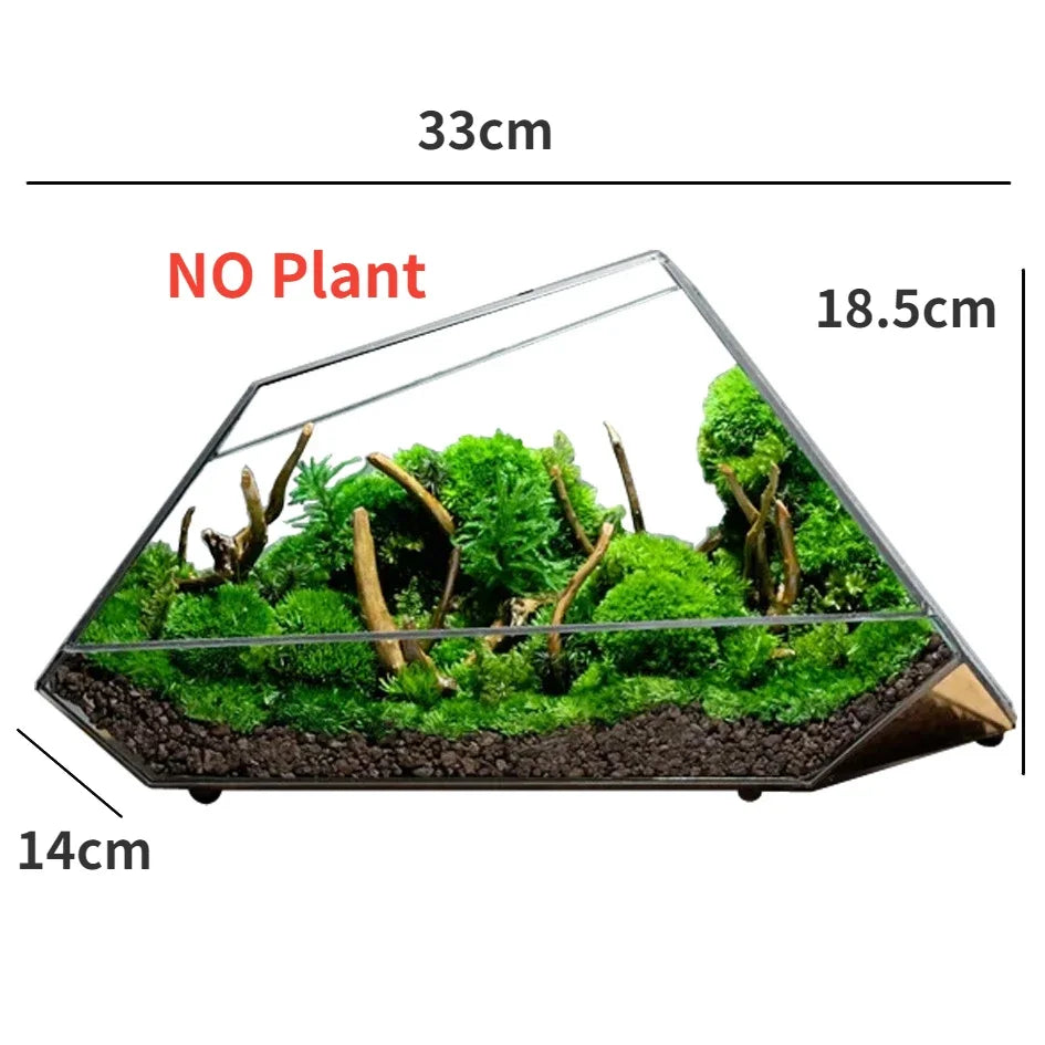Avtoit | Geometric Glass Moss Planter Terrarium Vase