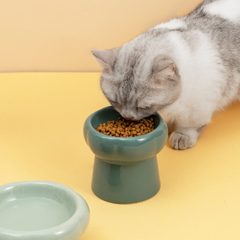 Avtoit | Luna Ceramic Elevated Cat Bowls
