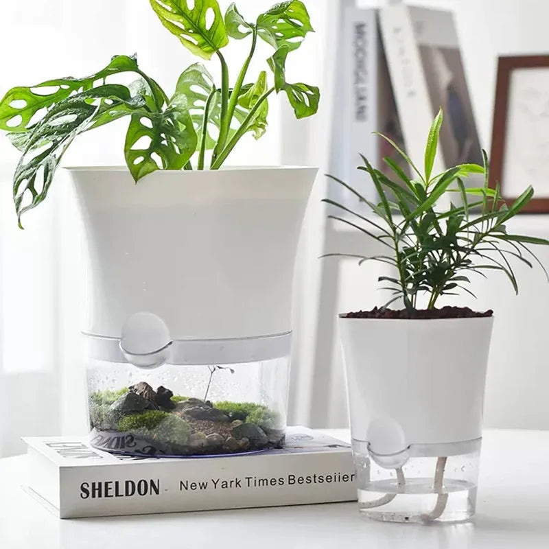 Avtoit | Plantilo Self-watering Flower Pot | Transparent | Automatic Water Supply | For Houseplants