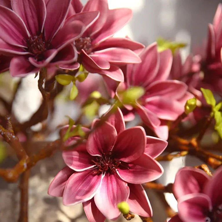 Avtoit | Artificial Magnolia Flowers