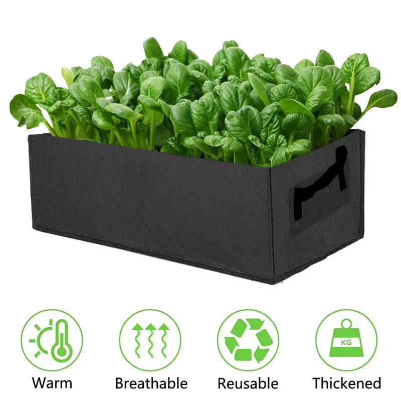 Avtoit | Foldable storage box made of felt for plants with handles