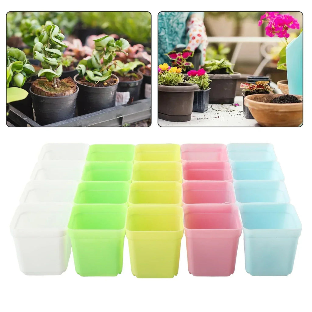 Avtoit | Bloomigo Mini Flower Pot Set | Bright Colors | Weatherproof & Ventilated | For Balcony & Indoor