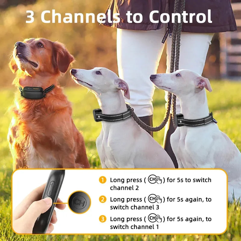 Avtoit | ProTrain – Rechargeable Waterproof Dog Training Collar with Remote