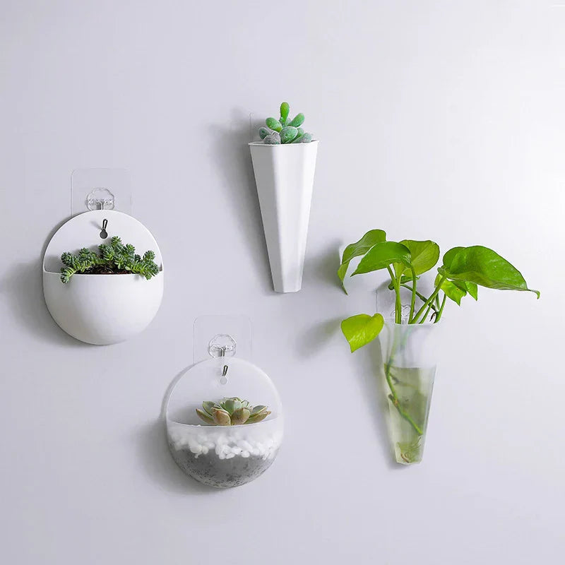 Avtoit | FloataWall Planter | Floating Design | Self-adhesive for Modern Wall Decoration