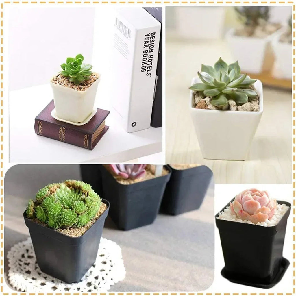 Avtoit | Bloomigo Mini Flower Pot Set | Bright Colors | Weatherproof & Ventilated | For Balcony & Indoor