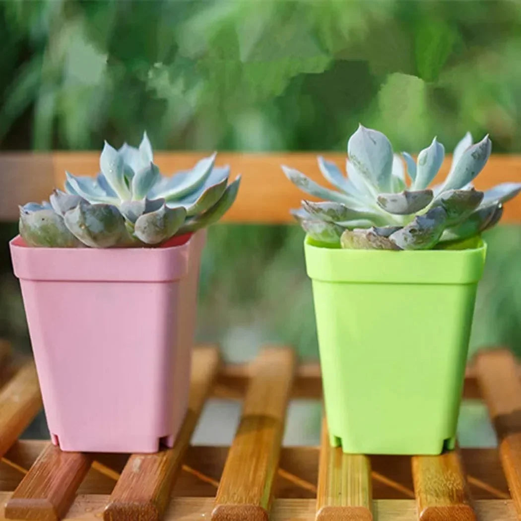 Avtoit | Bloomigo Mini Flower Pot Set | Bright Colors | Weatherproof & Ventilated | For Balcony & Indoor