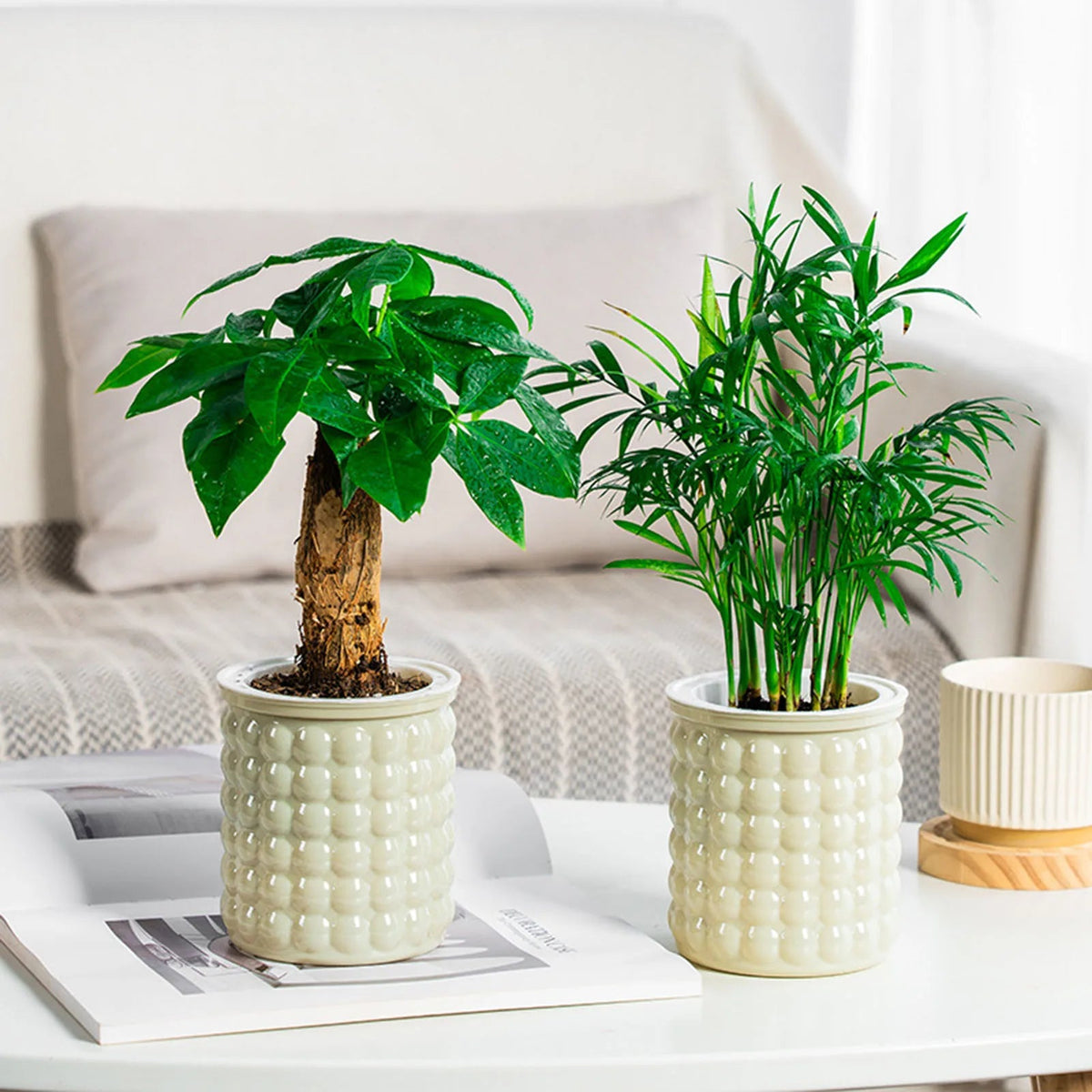 Avtoit | Hydropura Flowerpot | Self-watering & Soil-free | Modern & Easy to Care | Set of 3