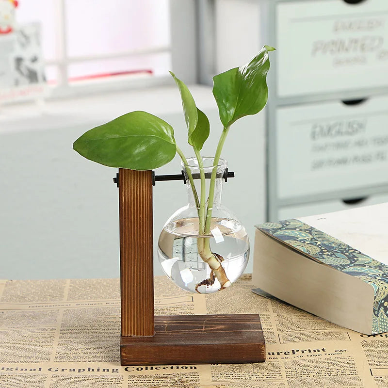 Avtoit | Vasoya Glass Vases | 3-Piece Set with Wooden Frame | Scandinavian & Versatile | For Flowers & Hydroponics