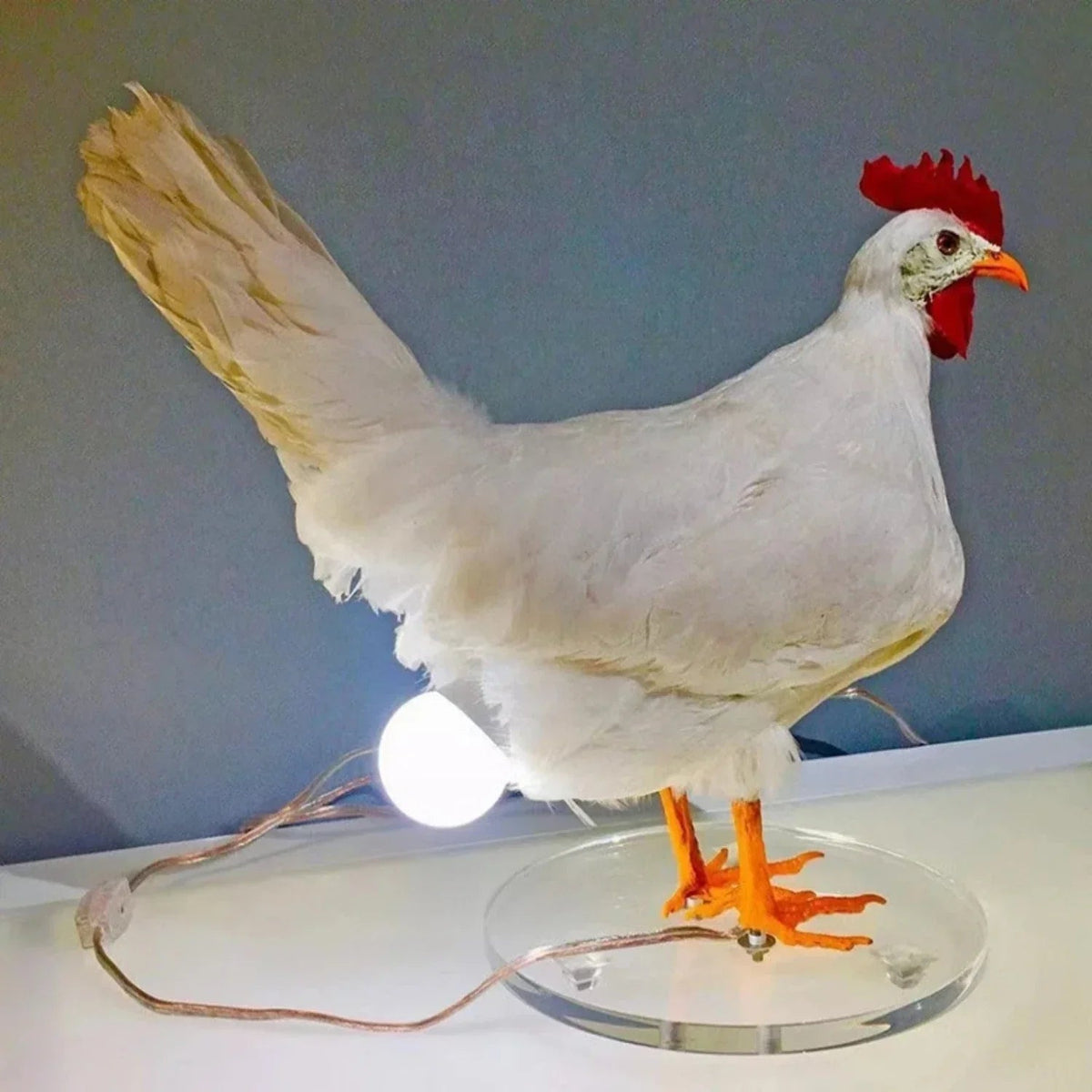 Avtoit | Farmhouse Chicken Table Lamp