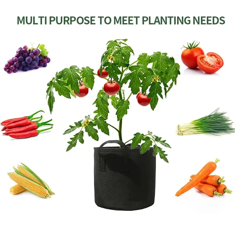 Avtoit | Planting bag made of nonwoven fabric – Robust garden container with handles for plants