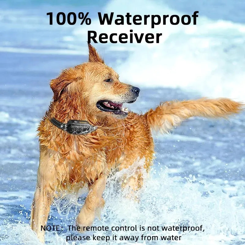Avtoit | ProTrain – Rechargeable Waterproof Dog Training Collar with Remote