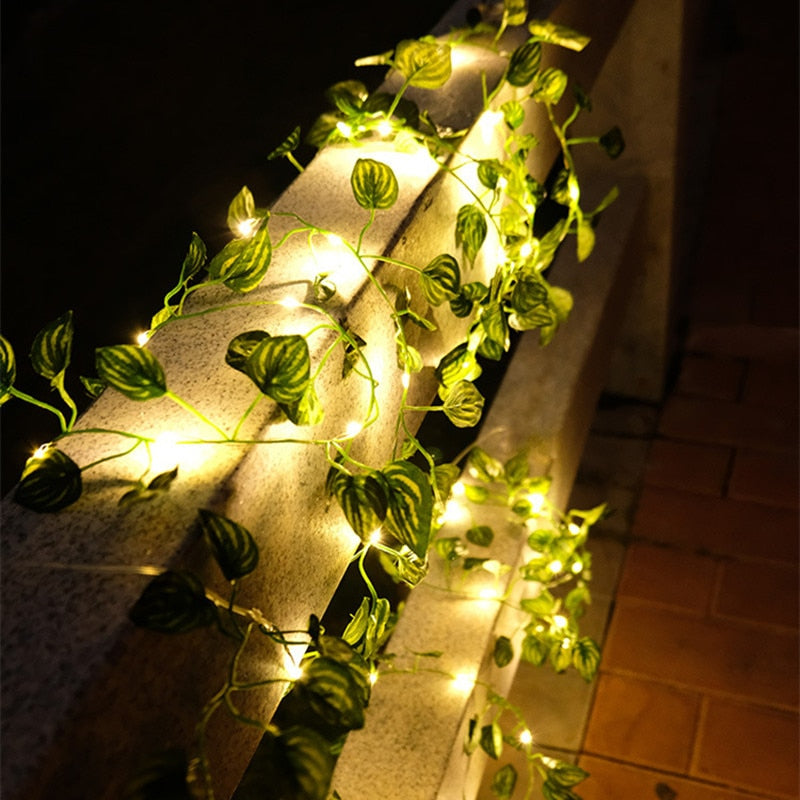 Avtoit | Garden vine LED string lights