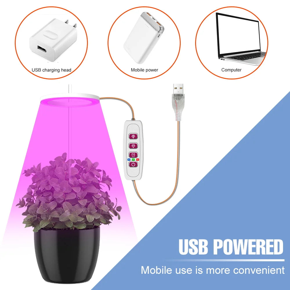 Avtoit | Plantuno Ring Plant Light | LED Grow Light with Timer | USB | Dimmable & 3 Light Colors | 1–4 Heads