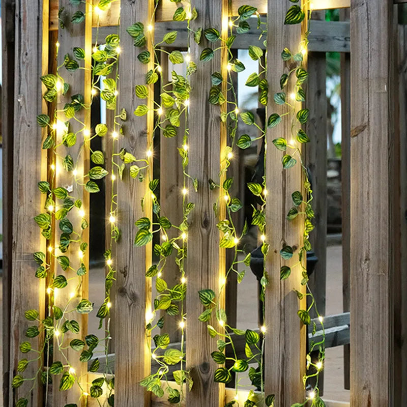 Avtoit | Garden vine LED string lights