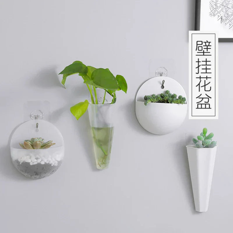 Avtoit | FloataWall Planter | Floating Design | Self-adhesive for Modern Wall Decoration