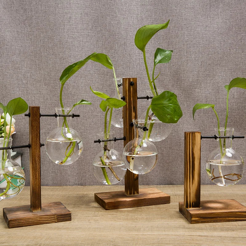 Avtoit | Vasoya Glass Vases | 3-Piece Set with Wooden Frame | Scandinavian & Versatile | For Flowers & Hydroponics