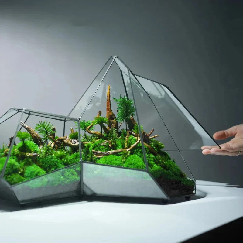 Avtoit | Geometric Glass Moss Planter Terrarium Vase