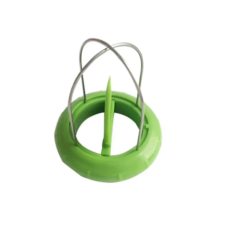 Avtoit | Fruit Lover Kiwi Cutter