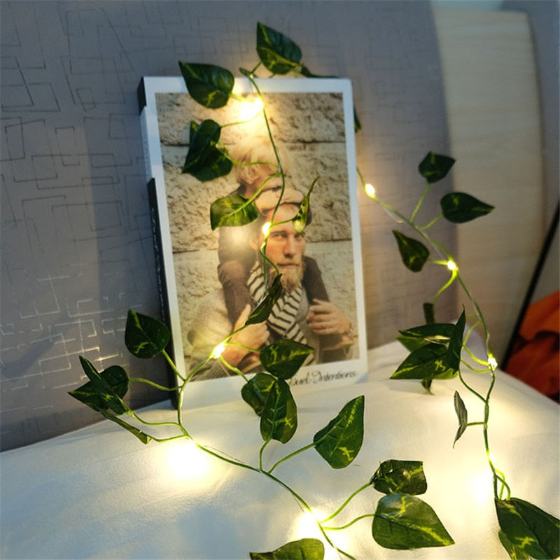 Avtoit | Garden vine LED string lights