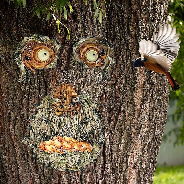 Avtoit | Eyes of Nature: Tree Face Bird Feeder Station