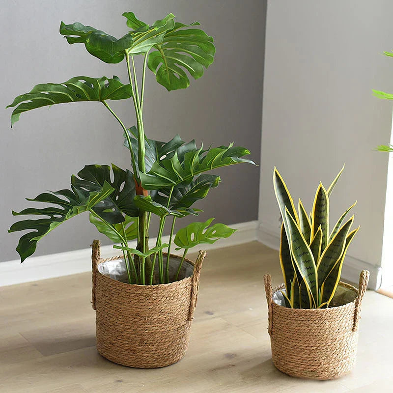 Avtoit | Fibrano Flower Pot Braided | Made of Natural Fibers | Boho & Country Style | 2 Sizes