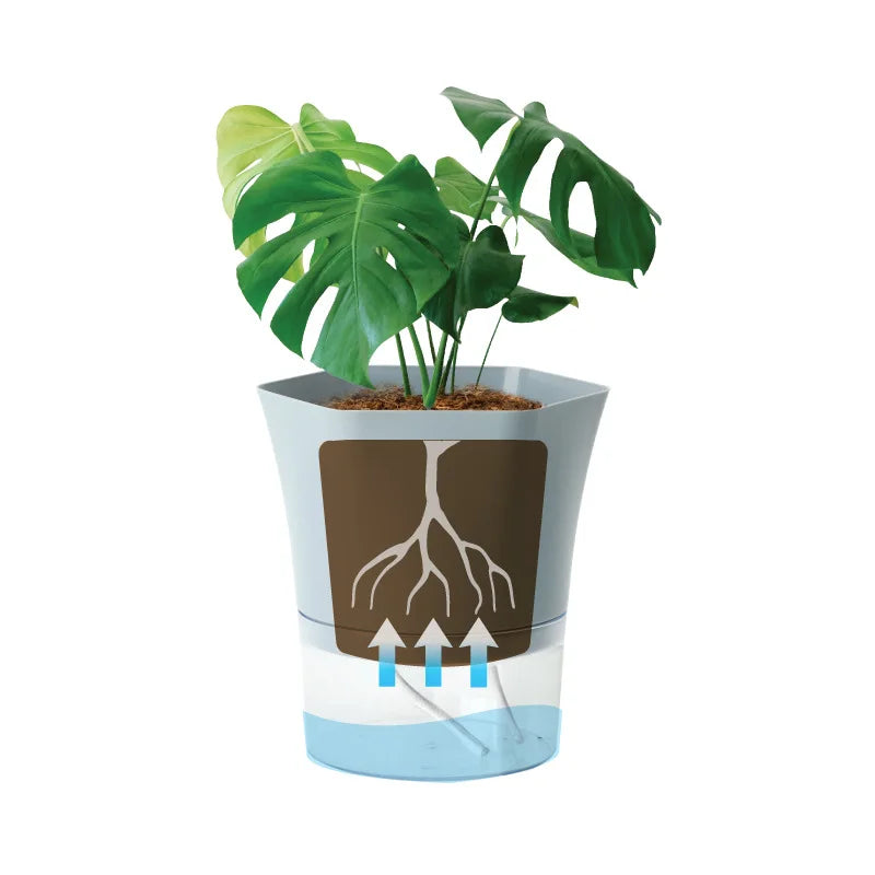 Avtoit | Plantilo Self-watering Flower Pot | Transparent | Automatic Water Supply | For Houseplants