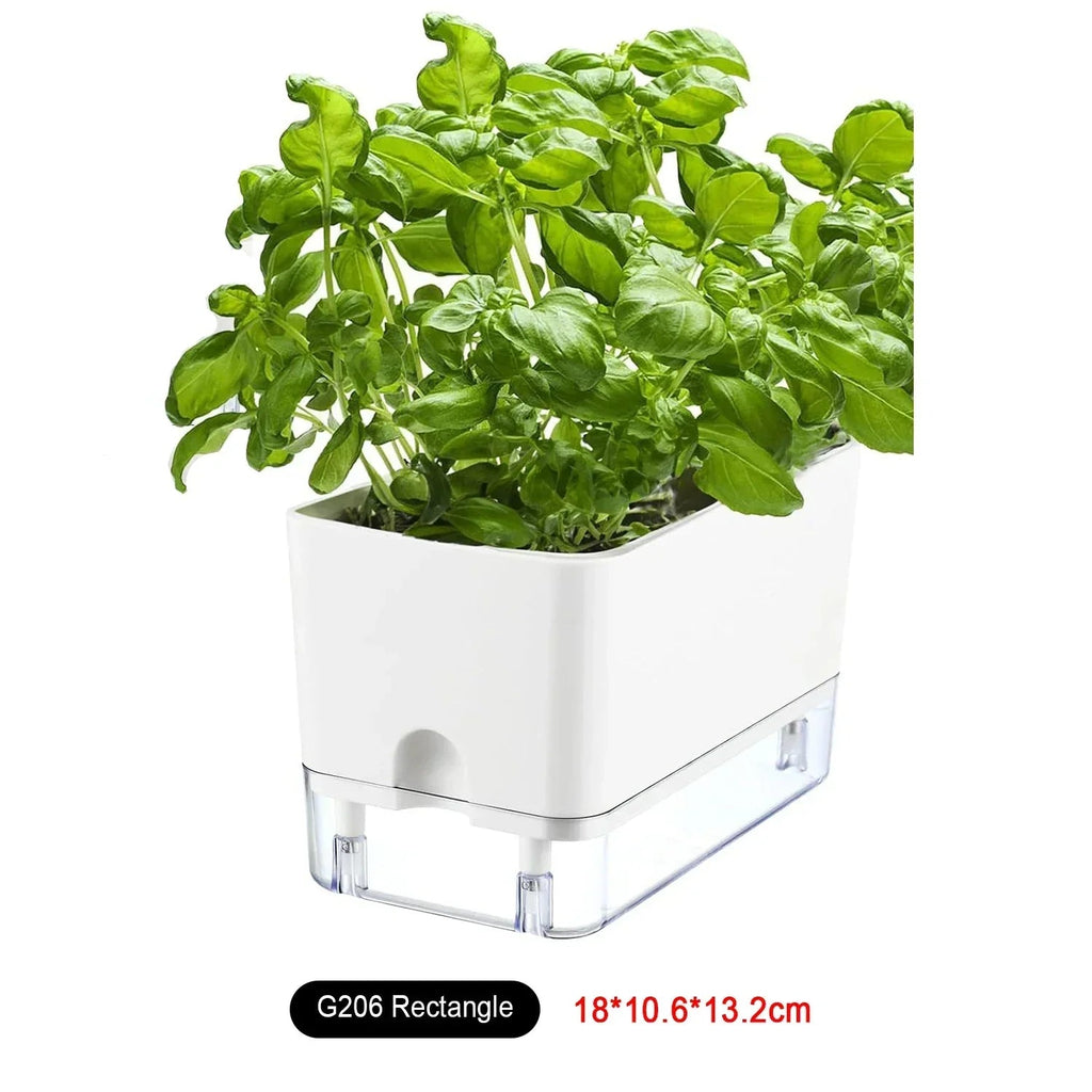 Avtoit | HydroLino Flower Pot | Self-Watering | Compact & Transparent | For Indoor Use