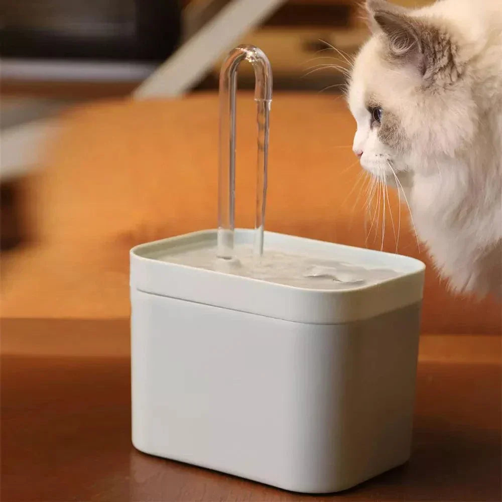 Avtoit | Ultra-quiet Pet Water Fountain with Intelligent Filtration - 1.5 l Stainless Steel