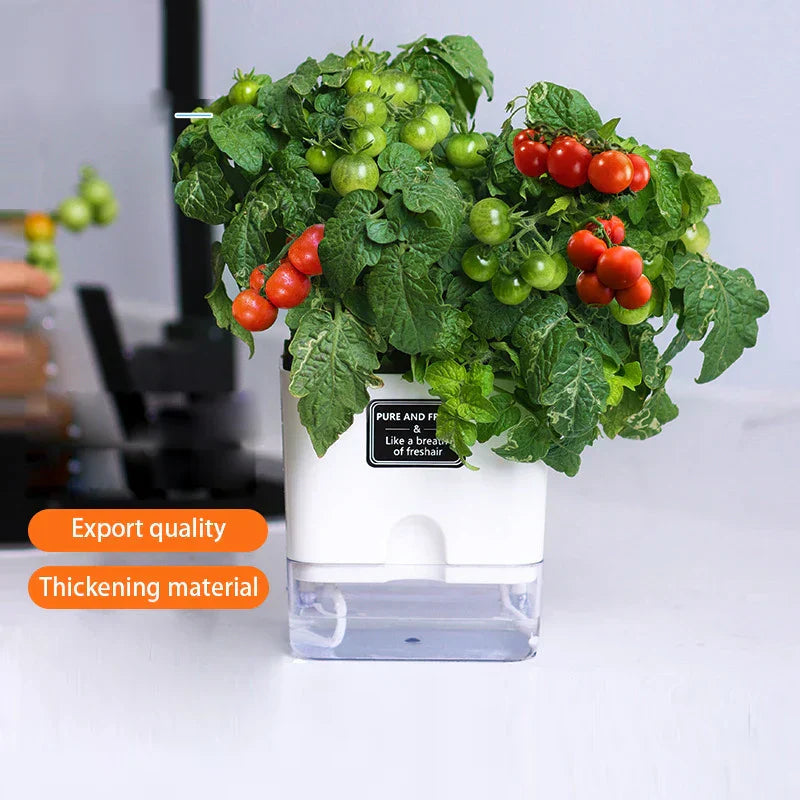 Avtoit | HydroLino Flower Pot | Self-Watering | Compact & Transparent | For Indoor Use