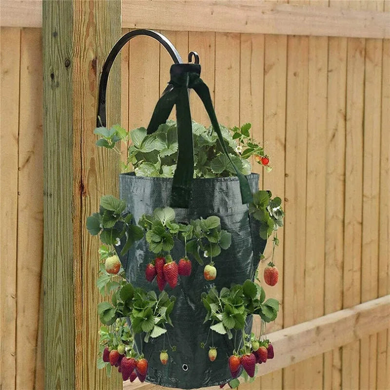 Avtoit | GrowFlex Plant Bag | Breathable & Waterproof | Perfect for Balcony and Garden