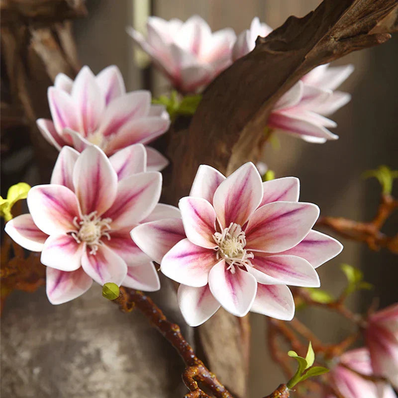 Avtoit | Artificial Magnolia Flowers