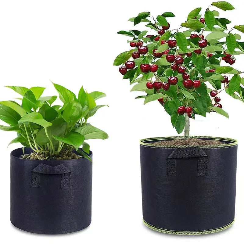 Avtoit | Planting bag made of nonwoven fabric – Robust garden container with handles for plants