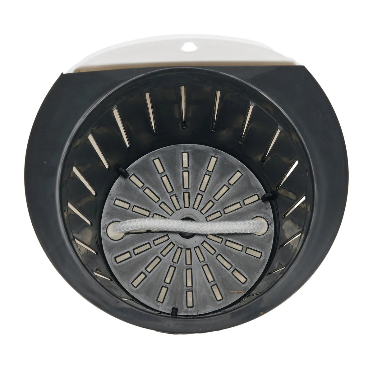 Avtoit | Self-watering hanging plant pot – Modern flower pot for wall mounting