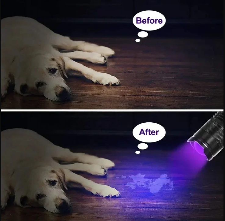 Avtoit | UV-LED flashlight – Ultraviolet light for stain detection and pet urine detection