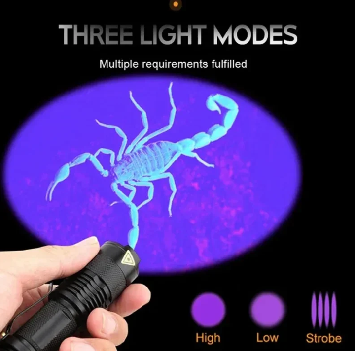 Avtoit | UV-LED flashlight – Ultraviolet light for stain detection and pet urine detection