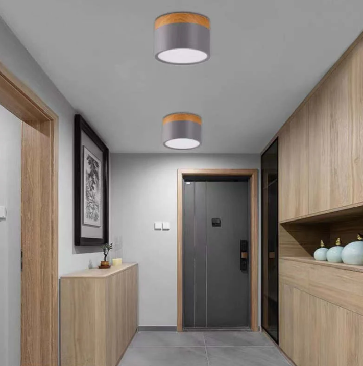 Avtoit | Morandi-inspired Modern LED ceiling lamp