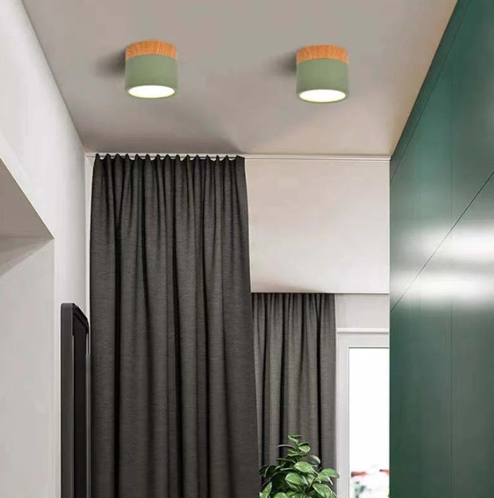Avtoit | Morandi-inspired Modern LED ceiling lamp