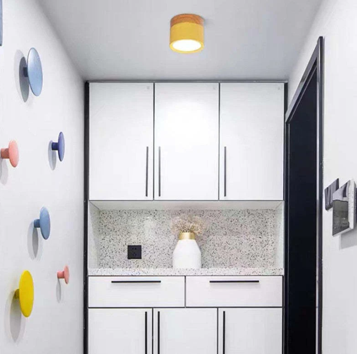 Avtoit | Morandi-inspired Modern LED ceiling lamp