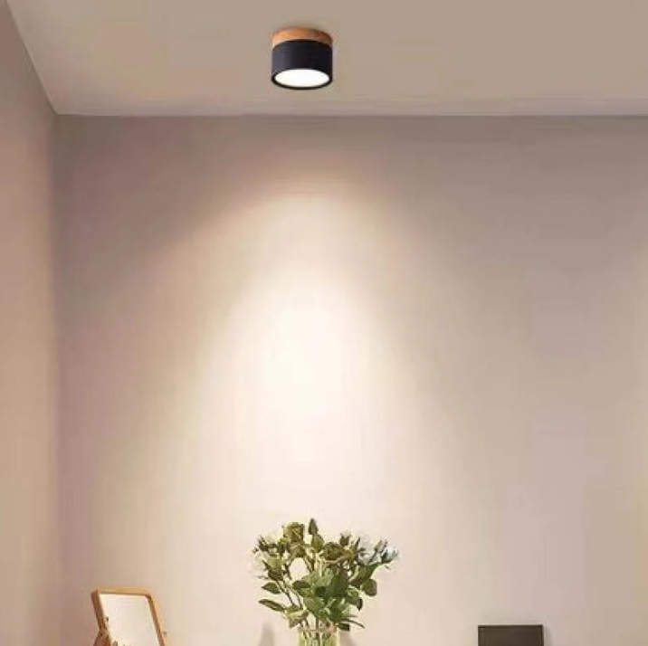 Avtoit | Morandi-inspired Modern LED ceiling lamp