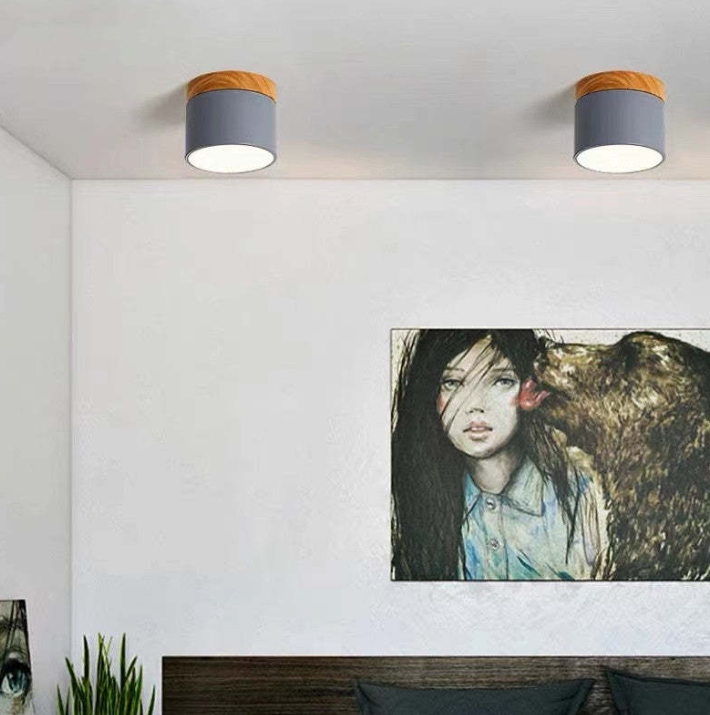 Avtoit | Morandi-inspired Modern LED ceiling lamp