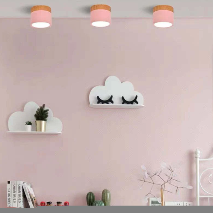 Avtoit | Morandi-inspired Modern LED ceiling lamp