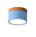 Avtoit | Morandi-inspired Modern LED ceiling lamp
